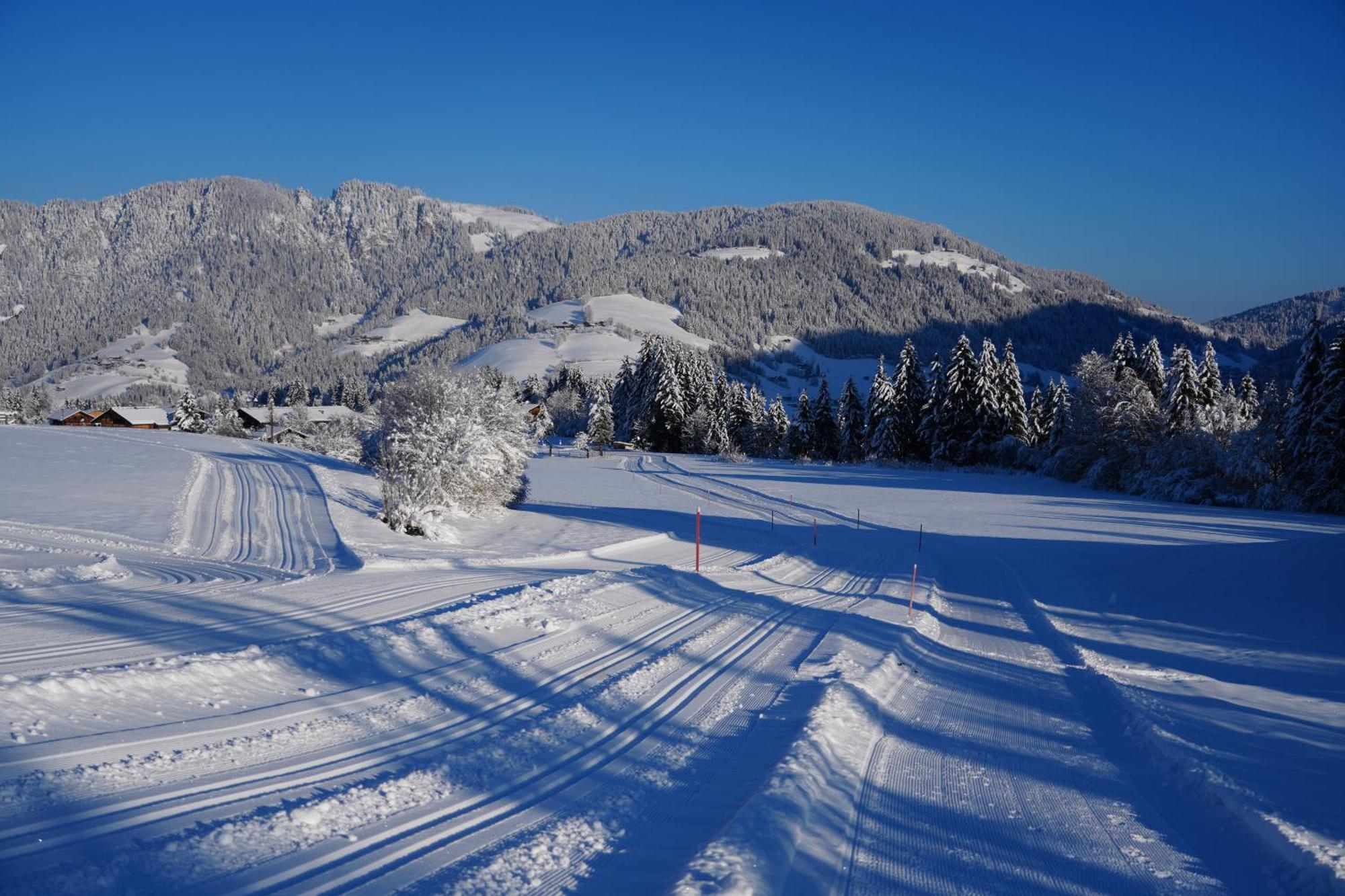Ferienhotel Iris Auffach Exteriör bild